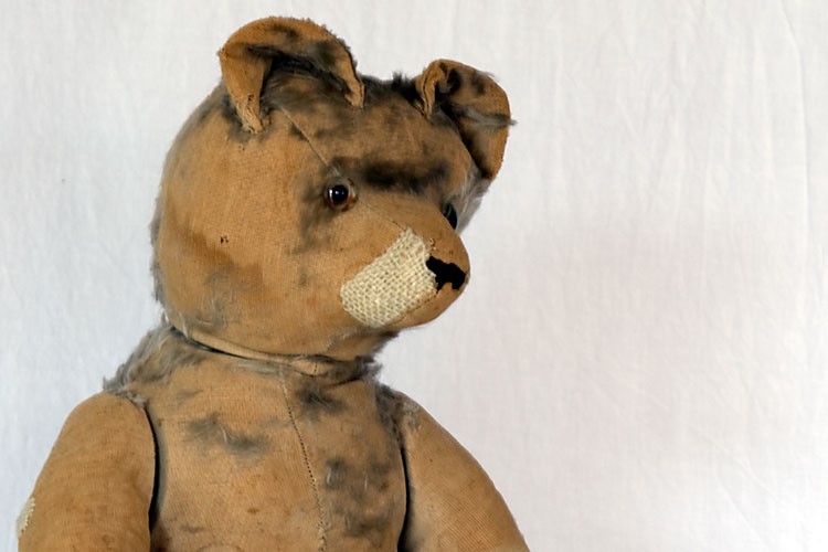 teddy